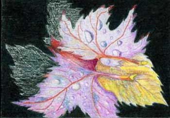 "Fall Leaves" by Helen Wolk, Minocqua WI - Colored Pencil
